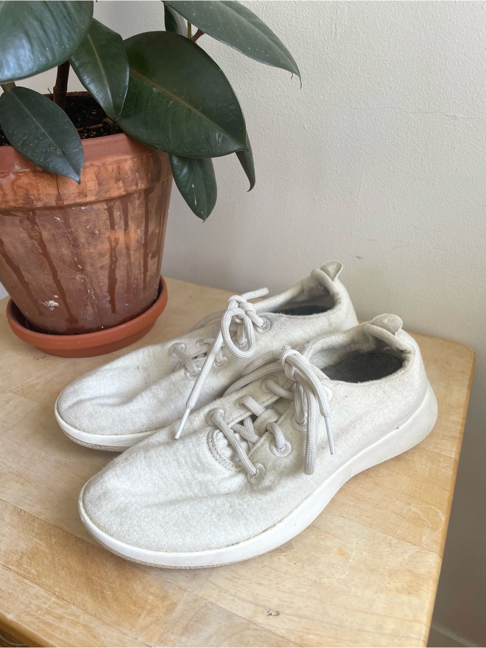allbirds Cream Wool Runner Sneakers W7